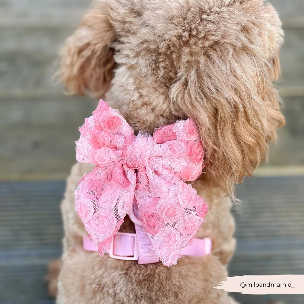 Peony Pup Sailor Bow Tie - Image 4