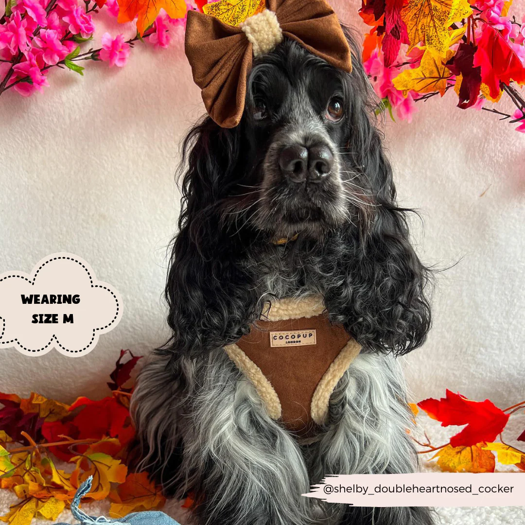 Brown Aviator Adjustable Neck HARNESS - Image 14
