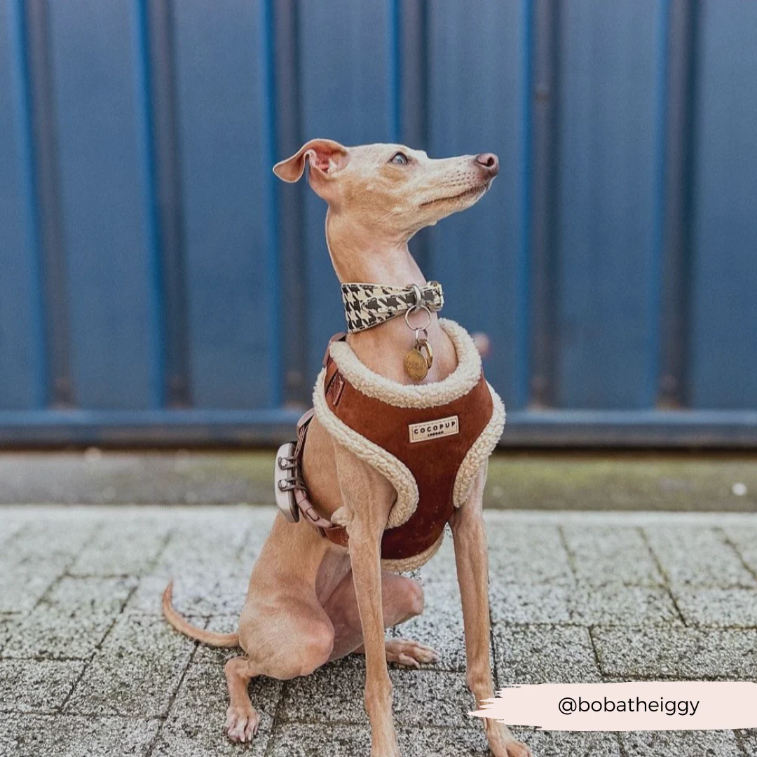 Brown Aviator Adjustable Neck HARNESS - Image 34
