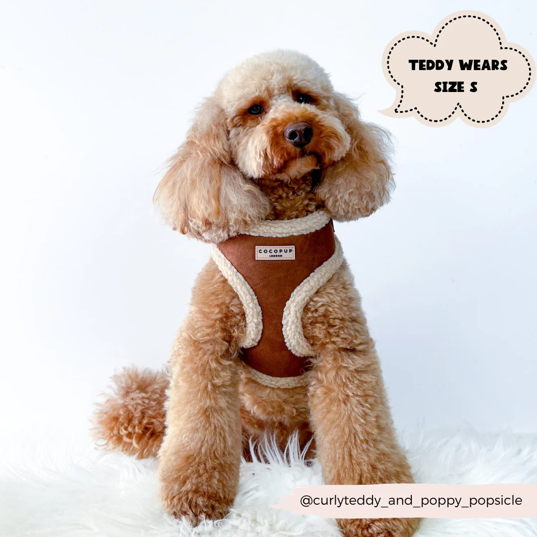 Brown Aviator Adjustable Neck HARNESS - Image 7