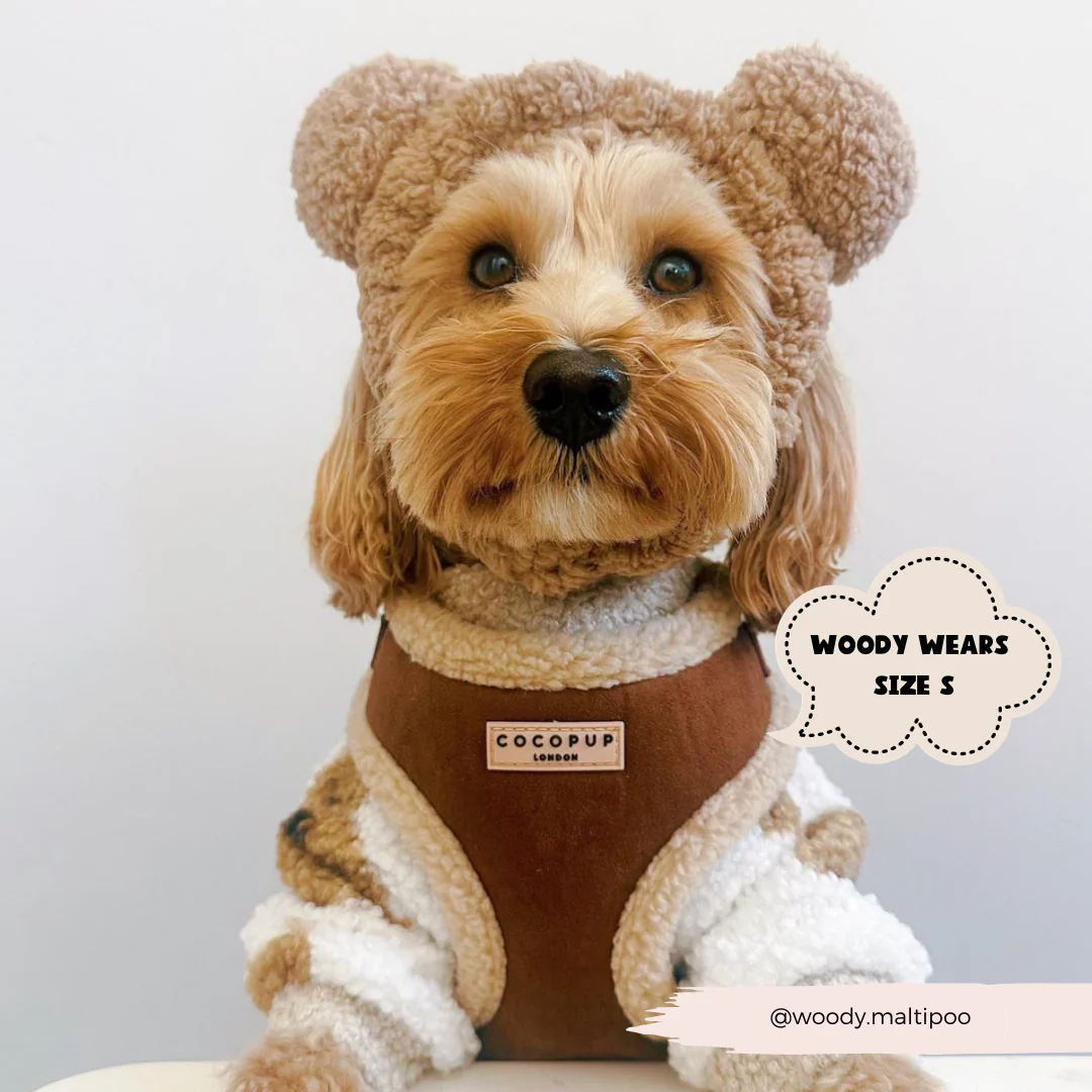 Brown Aviator Adjustable Neck HARNESS - Image 8