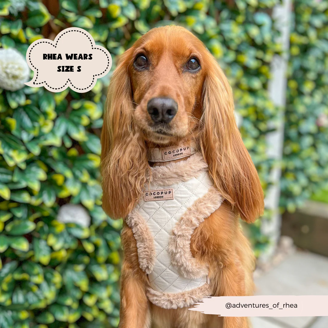 Cream Quilted Adjustable Neck HARNESS - Image 20