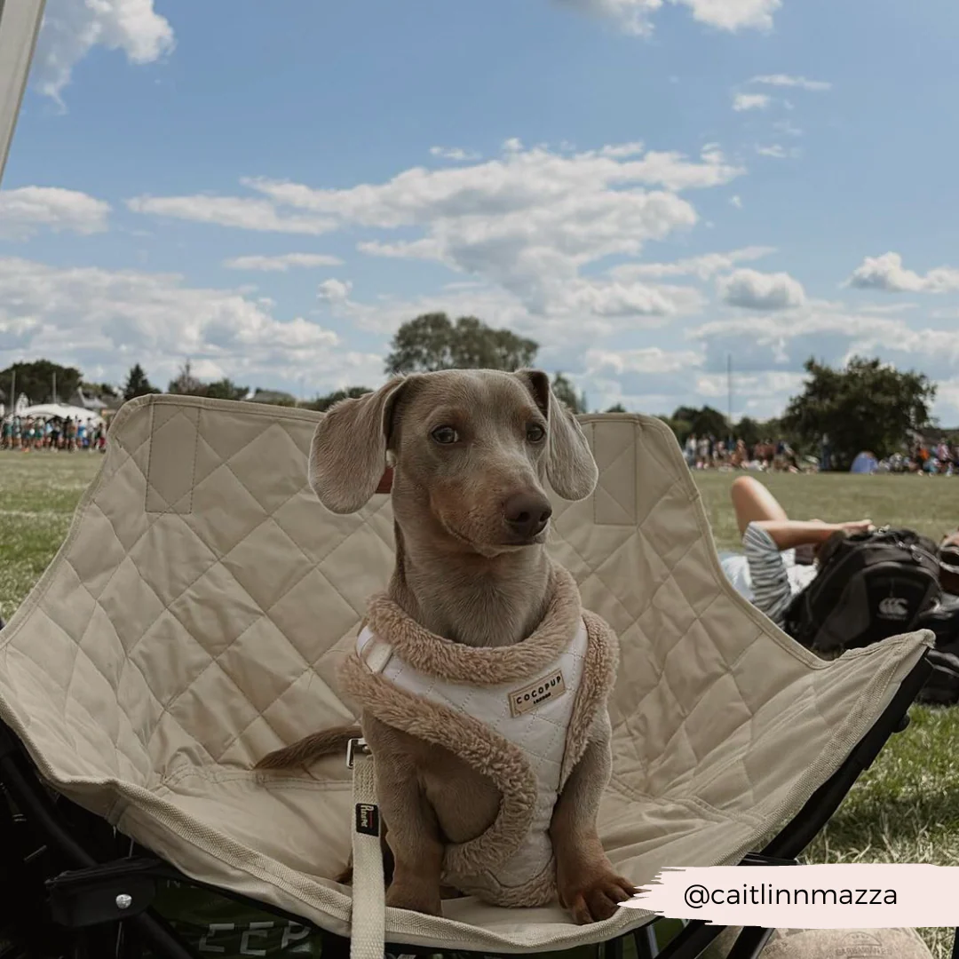 Cream Quilted Adjustable Neck HARNESS - Image 36