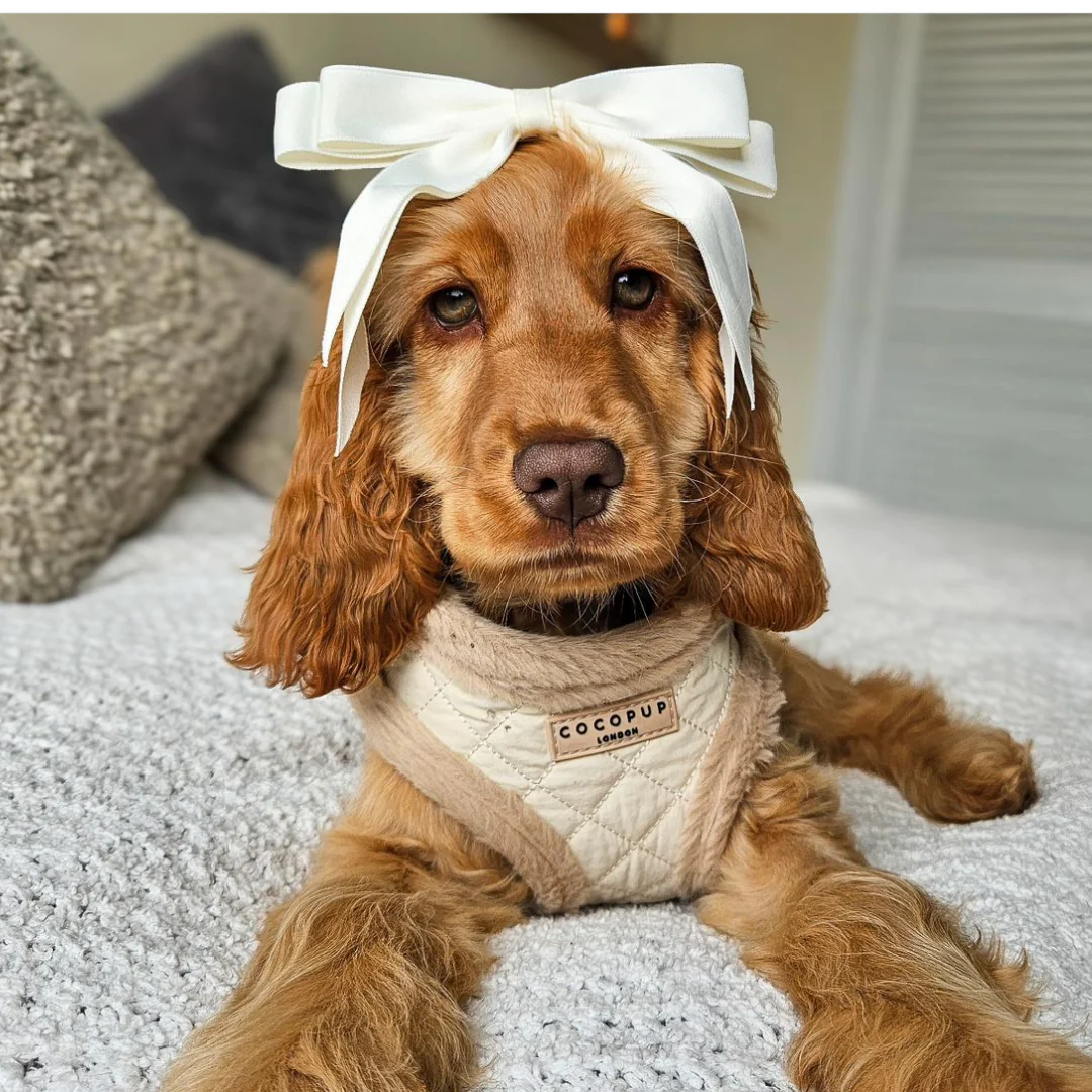 Cream Quilted Adjustable Neck HARNESS - Image 37