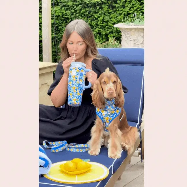 Amalfi Lemon Adjustable Neck HARNESS - Image 12
