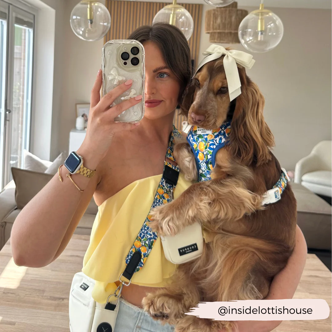 Amalfi Lemon Adjustable Neck HARNESS - Image 19