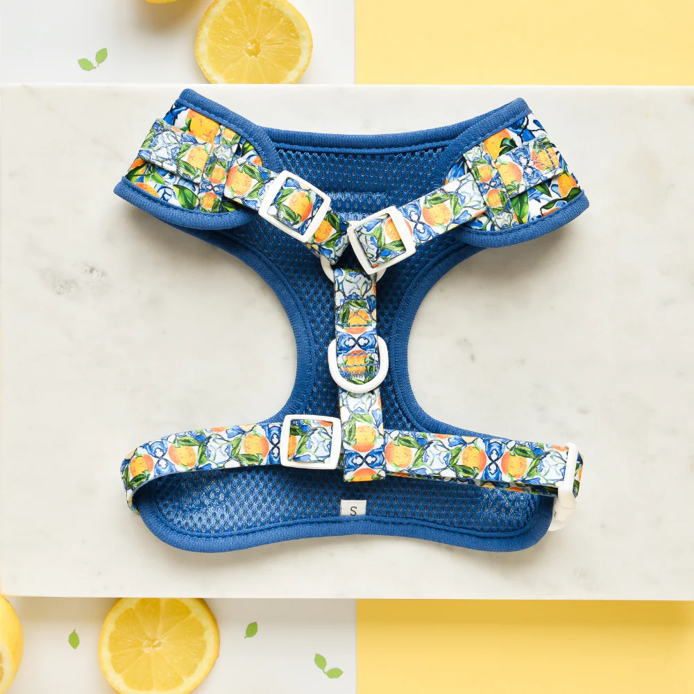 Amalfi Lemon Adjustable Neck HARNESS - Image 2