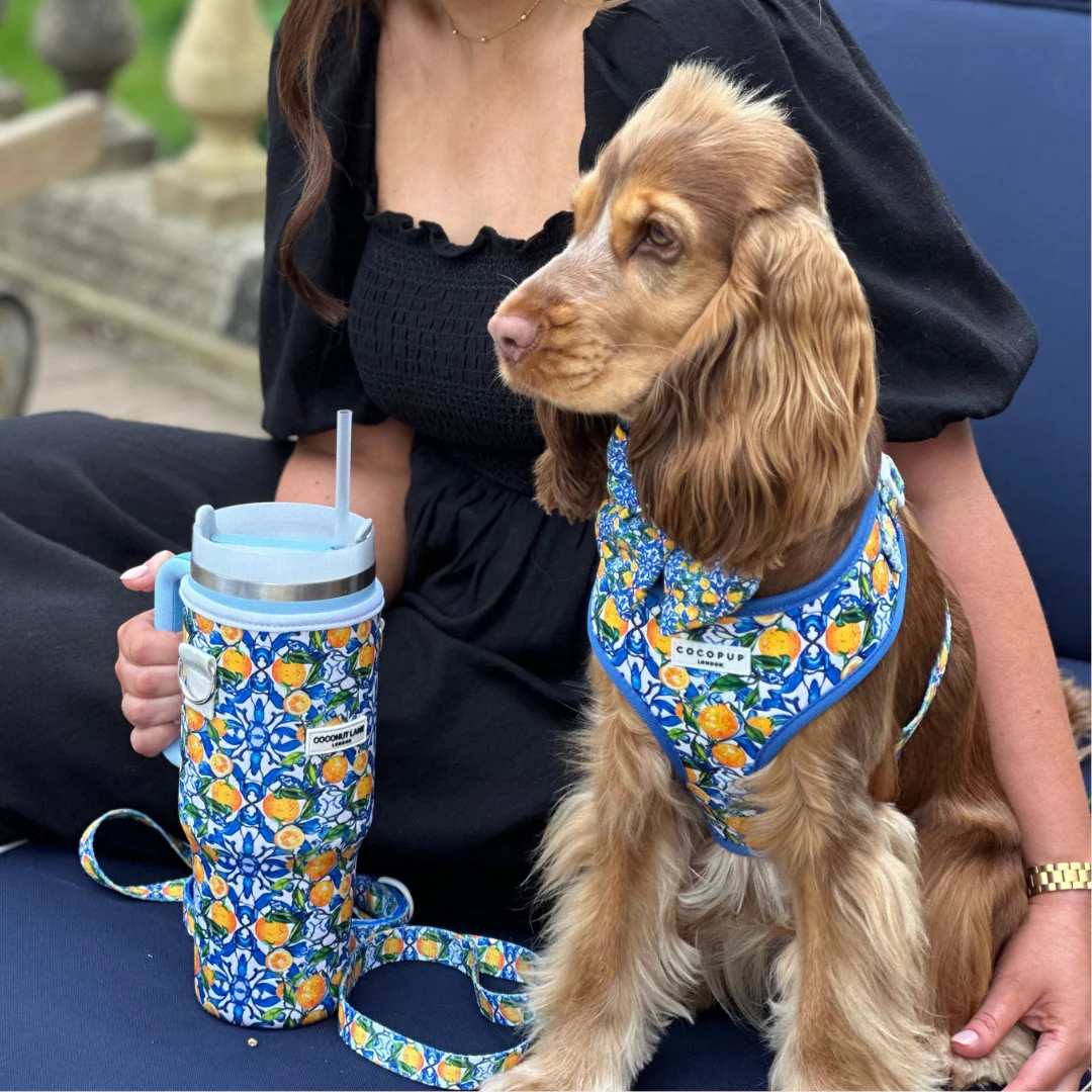 Amalfi Lemon Adjustable Neck HARNESS - Image 6