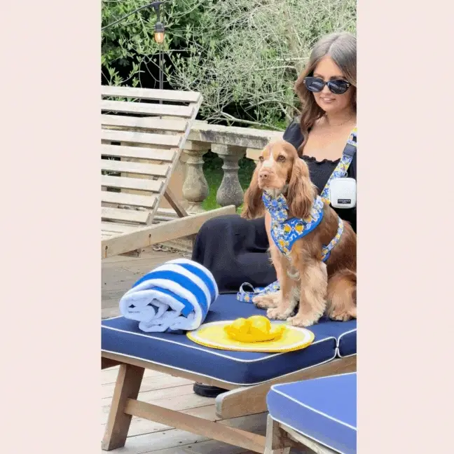 Amalfi Lemon Adjustable Neck Harness, Lead & Collar Bundle - Image 16