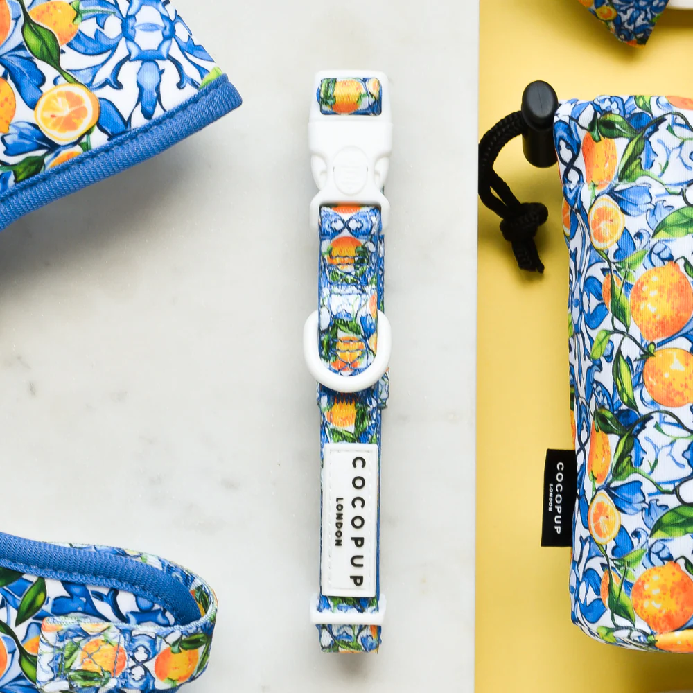 Amalfi Lemon COLLAR - Image 2