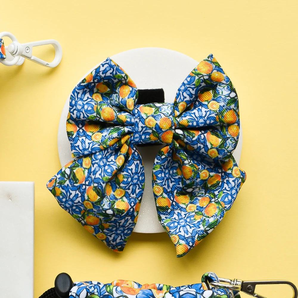 Amalfi Lemon Sailor Bow Tie - Image 2