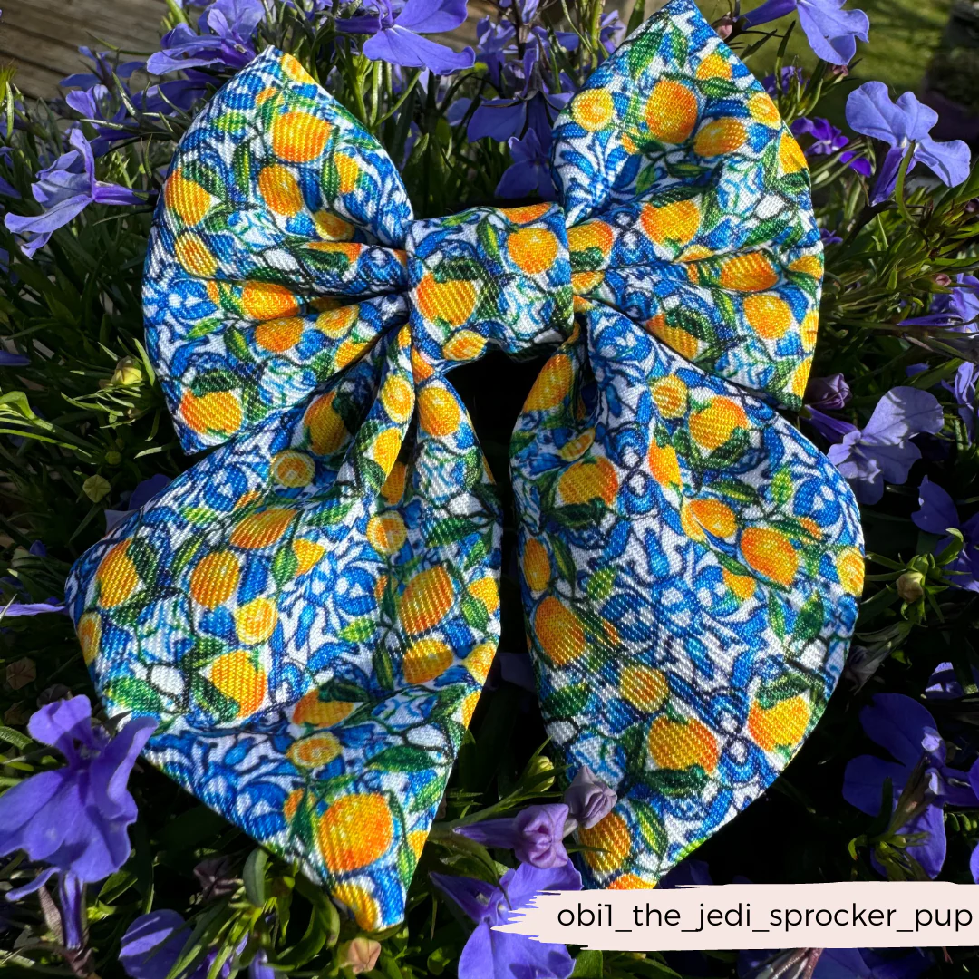 Amalfi Lemon Sailor Bow Tie - Image 6