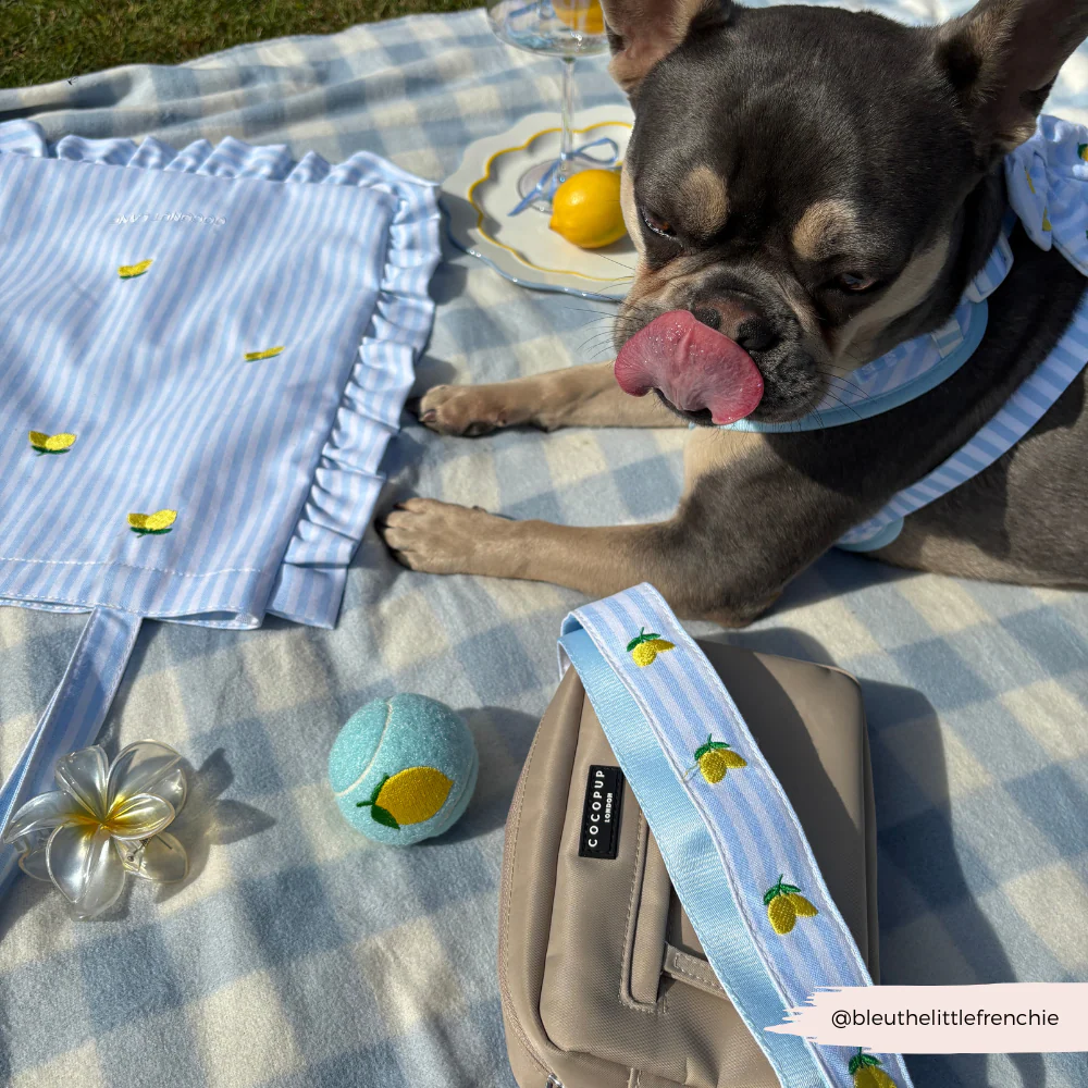 Bag Strap - Living La Vida Lemon - Image 7