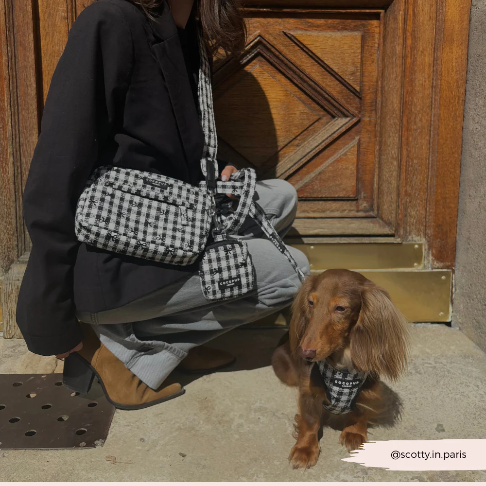 Bag Strap - Pup in Paris - Image 3