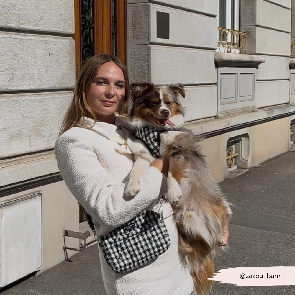 Bag Strap - Pup in Paris - Image 5