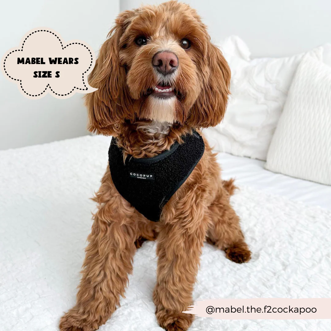 Teddy Adjustable Neck HARNESS - Baloo - Image 6