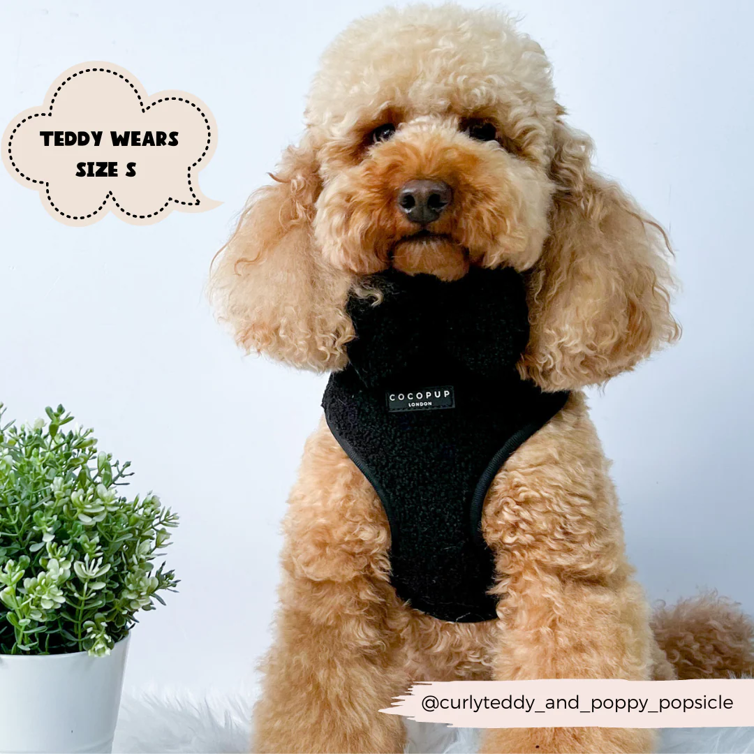 Teddy Adjustable Neck HARNESS - Baloo - Image 8
