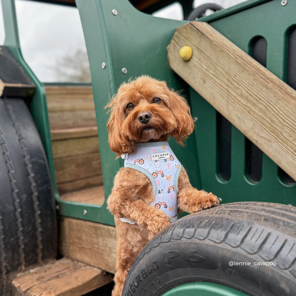 Barnyard Buddies Adjustable Neck HARNESS - Image 8