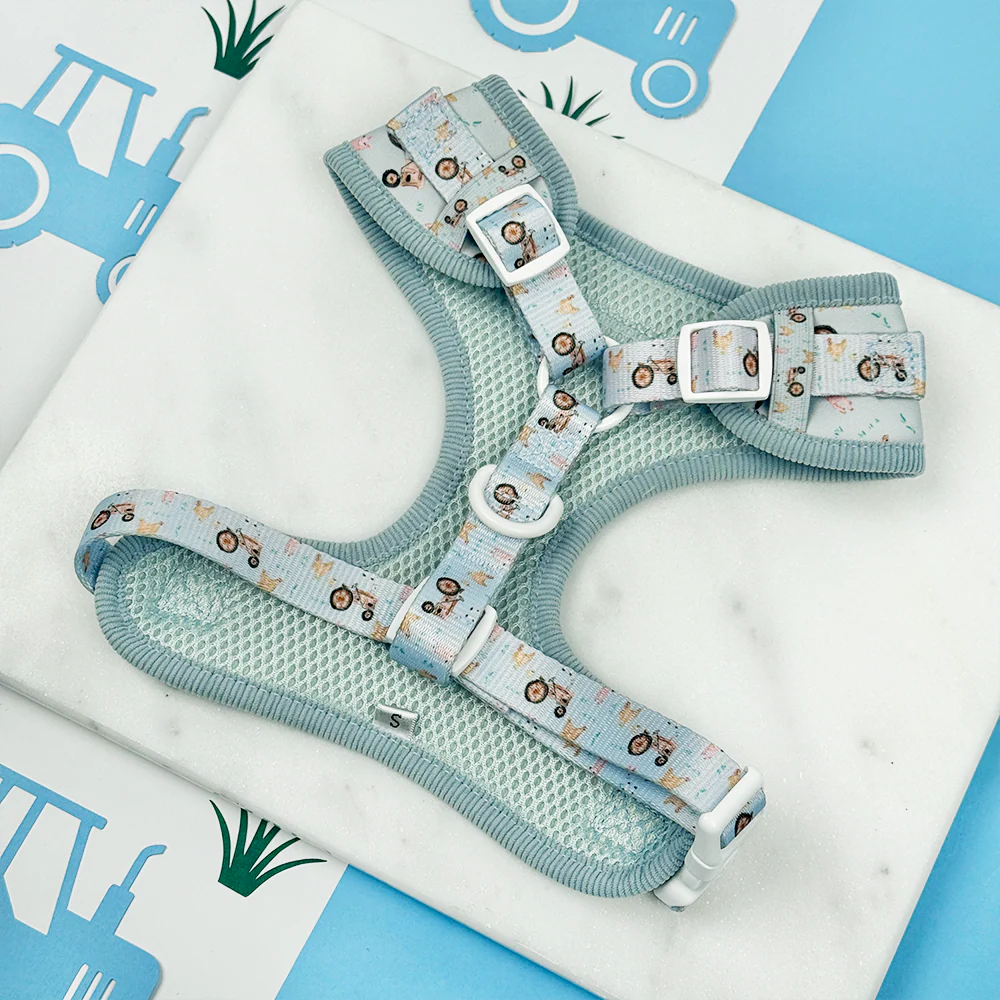 Barnyard Buddies Adjustable Neck HARNESS - Image 3
