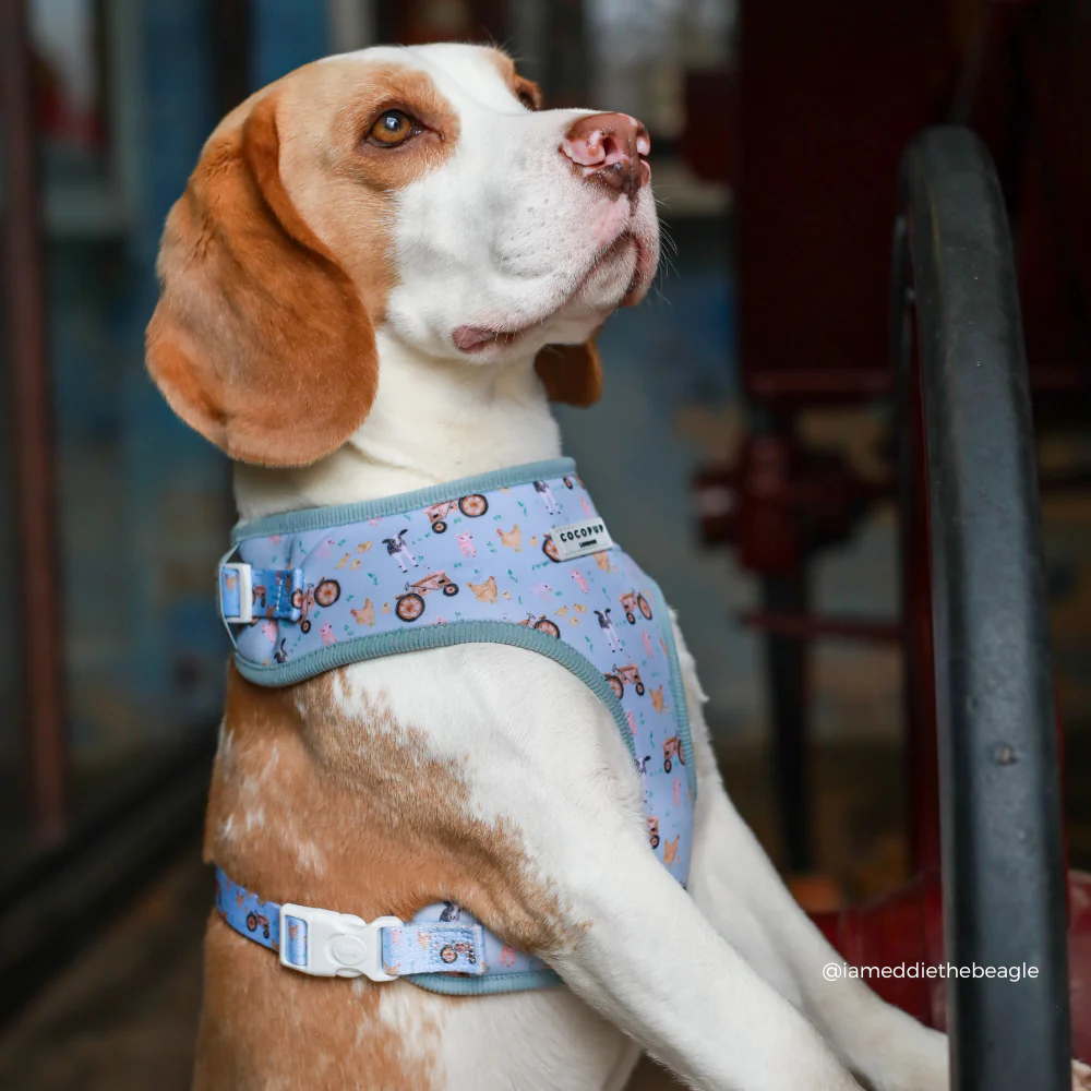 Barnyard Buddies Adjustable Neck HARNESS - Image 5