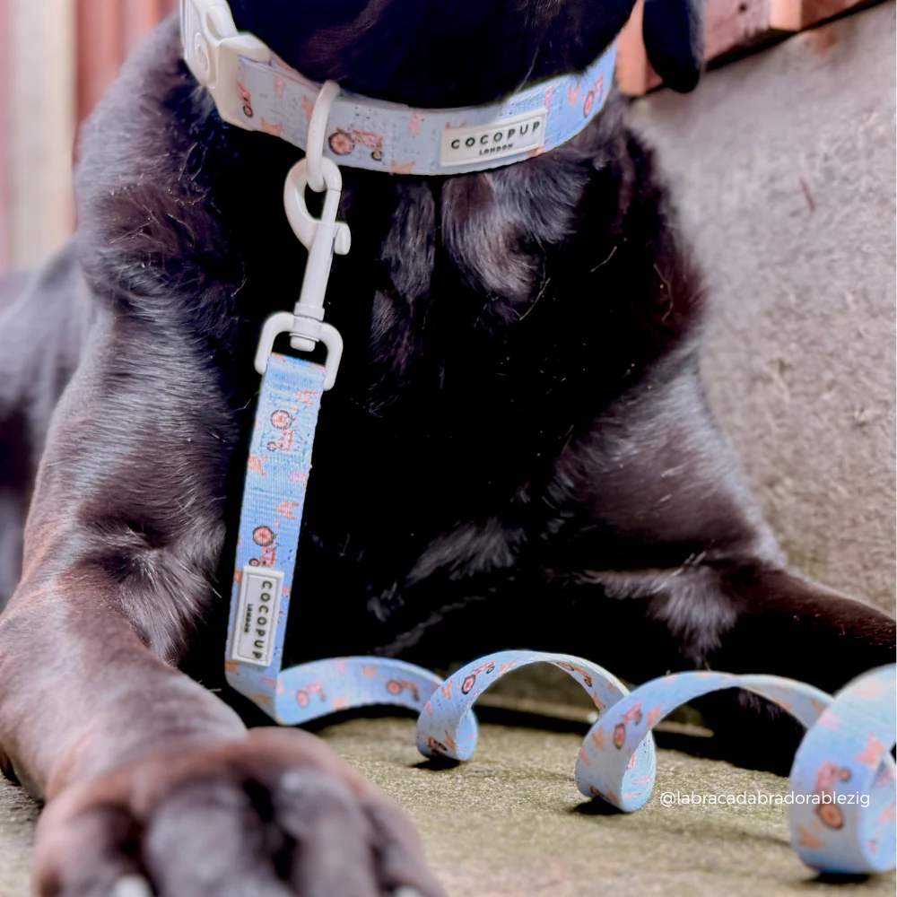 Barnyard Buddies COLLAR - Image 2
