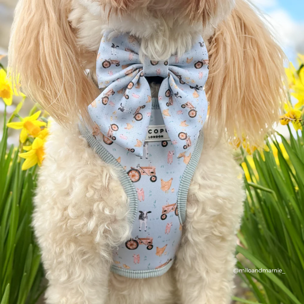 Barnyard Buddies Sailor Bow Tie - Image 4