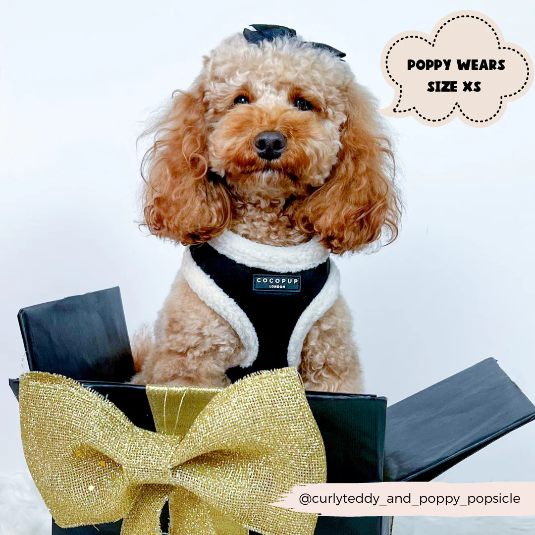 Black Aviator Adjustable Neck HARNESS - Image 11