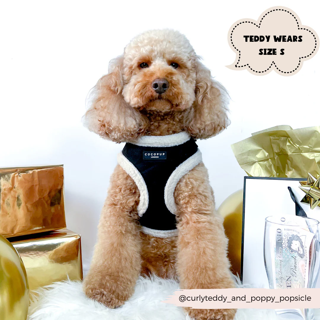 Black Aviator Adjustable Neck Harness, Lead & Collar Bundle - Image 5