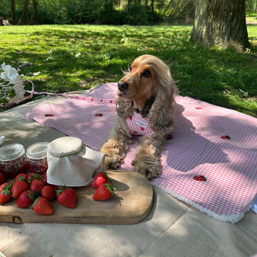 Blanket - Strawberry Picnic Pup - Image 3