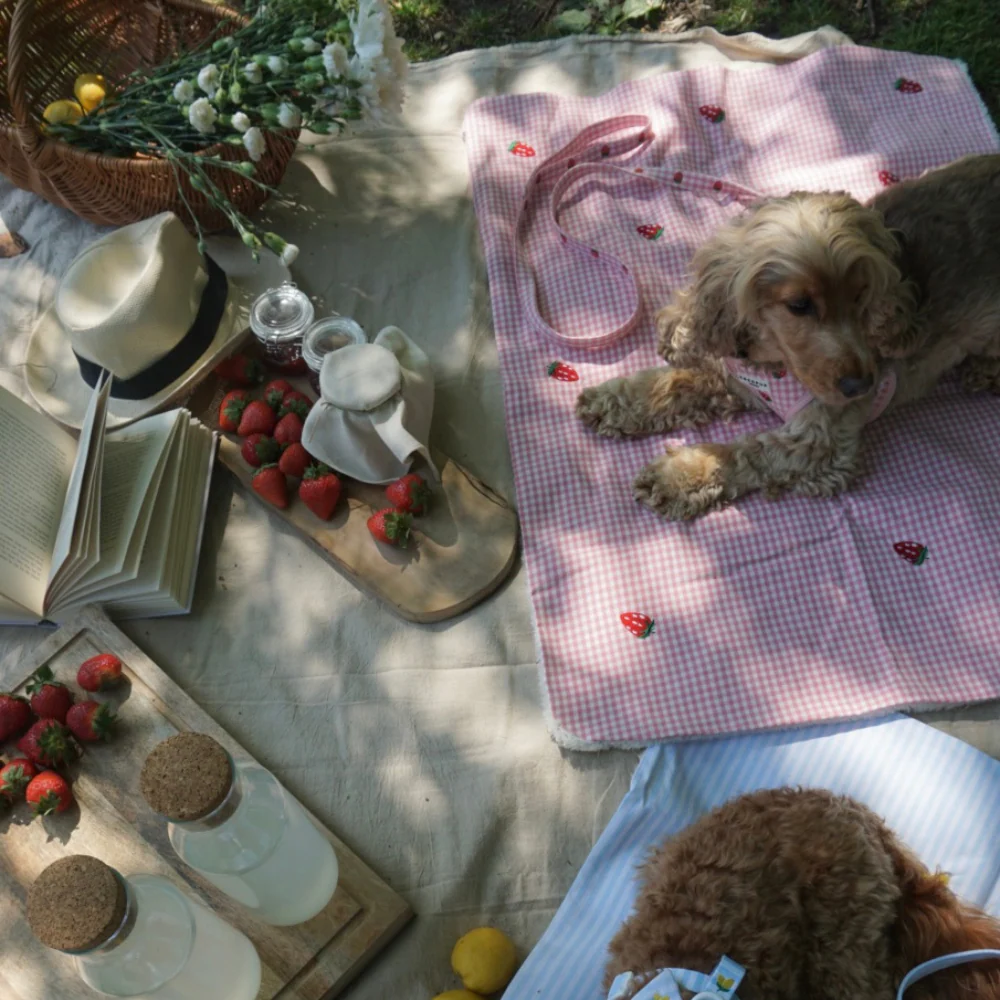 Blanket - Strawberry Picnic Pup - Image 7
