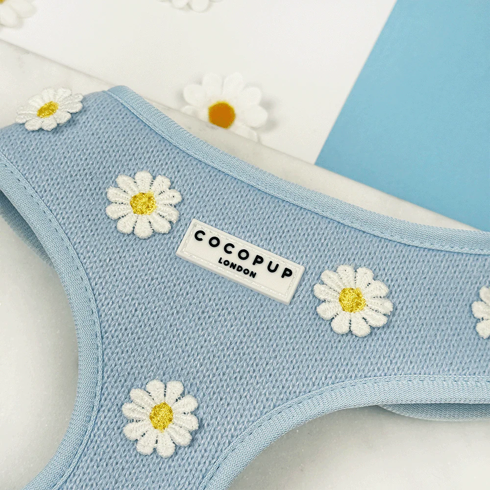 Blue Daisy Dream Adjustable Neck Harness, Lead & Collar Bundle - Image 2