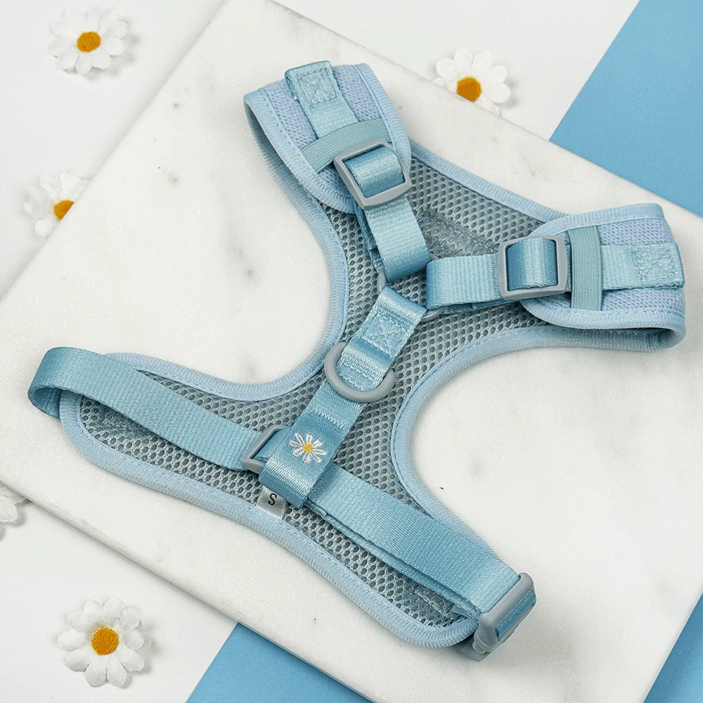 Blue Daisy Dream Adjustable Neck Harness, Lead & Collar Bundle - Image 6