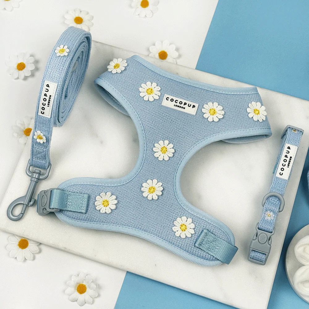 Blue Daisy Dream Adjustable Neck Harness, Lead & Collar Bundle - Image 7