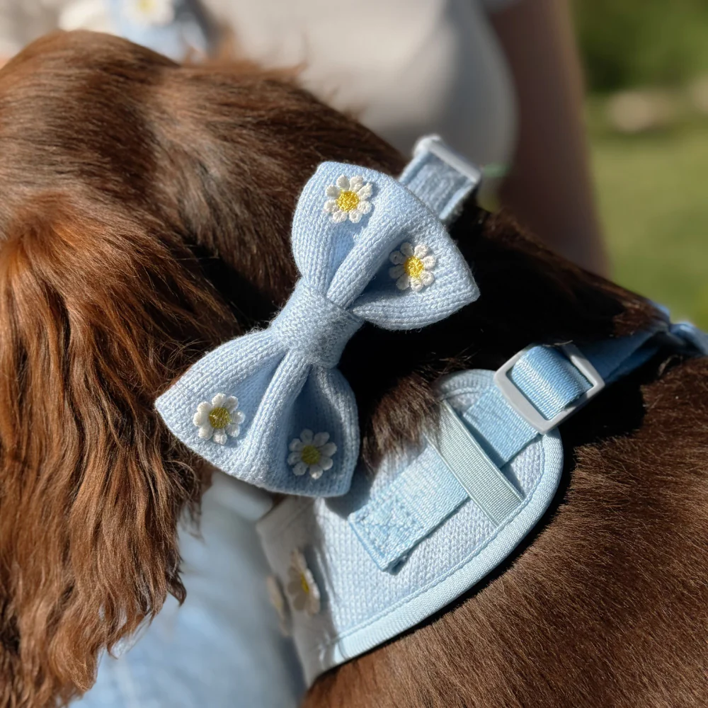 Blue Daisy Dream Bow Tie - Image 3