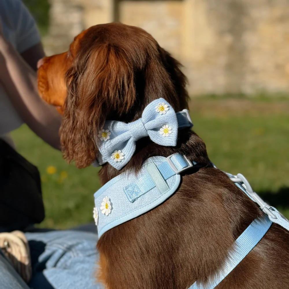 Blue Daisy Dream Bow Tie - Image 4