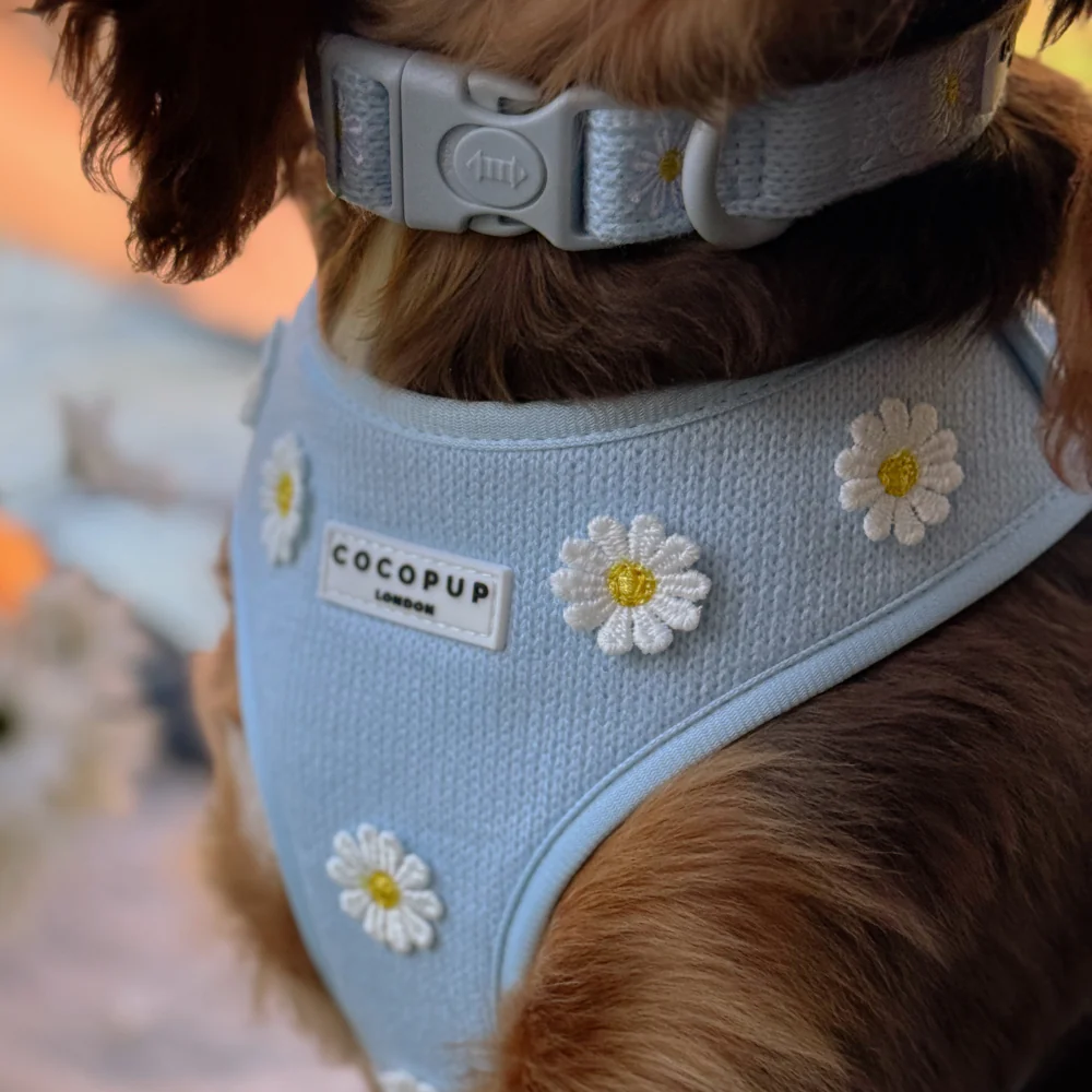 Blue Daisy Dream Adjustable Neck Harness, Lead & Collar Bundle - Image 8
