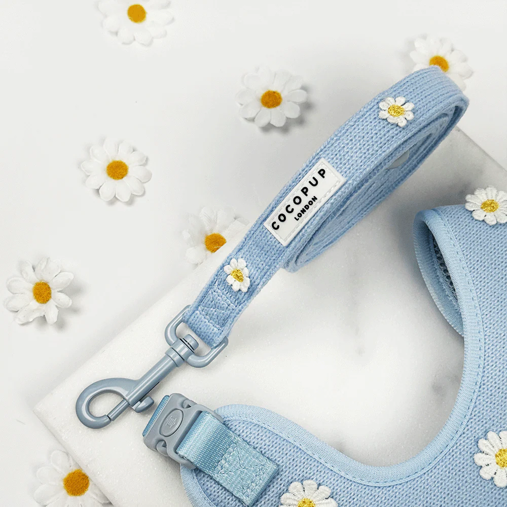 Blue Daisy Dream Adjustable Neck Harness, Lead & Collar Bundle - Image 5