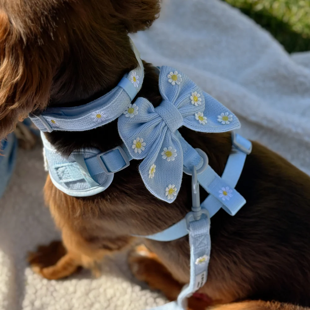 Blue Daisy Dream Sailor Bow Tie - Image 3