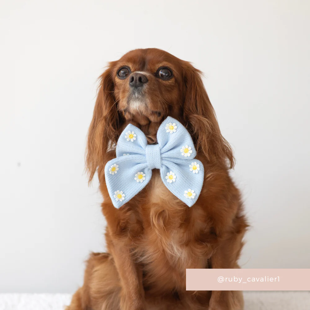 Blue Daisy Dream Sailor Bow Tie - Image 4