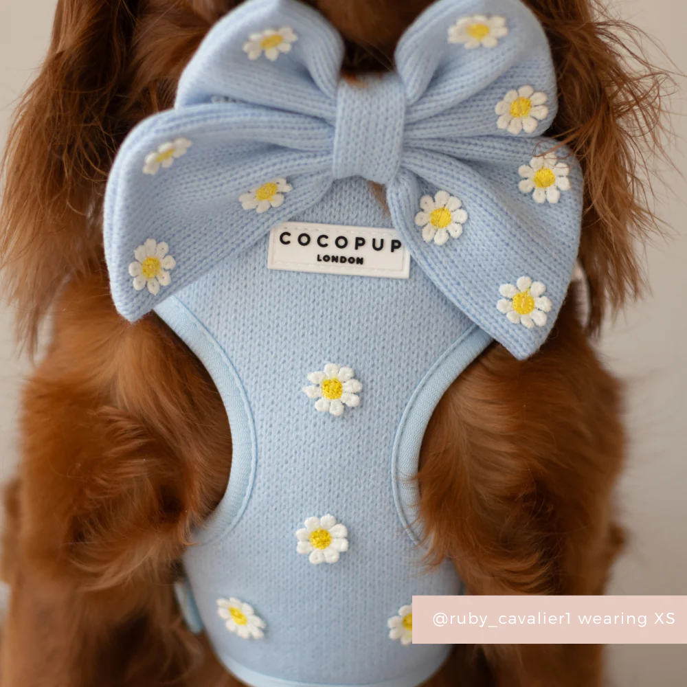 Blue Daisy Dream Adjustable Neck HARNESS - Image 11
