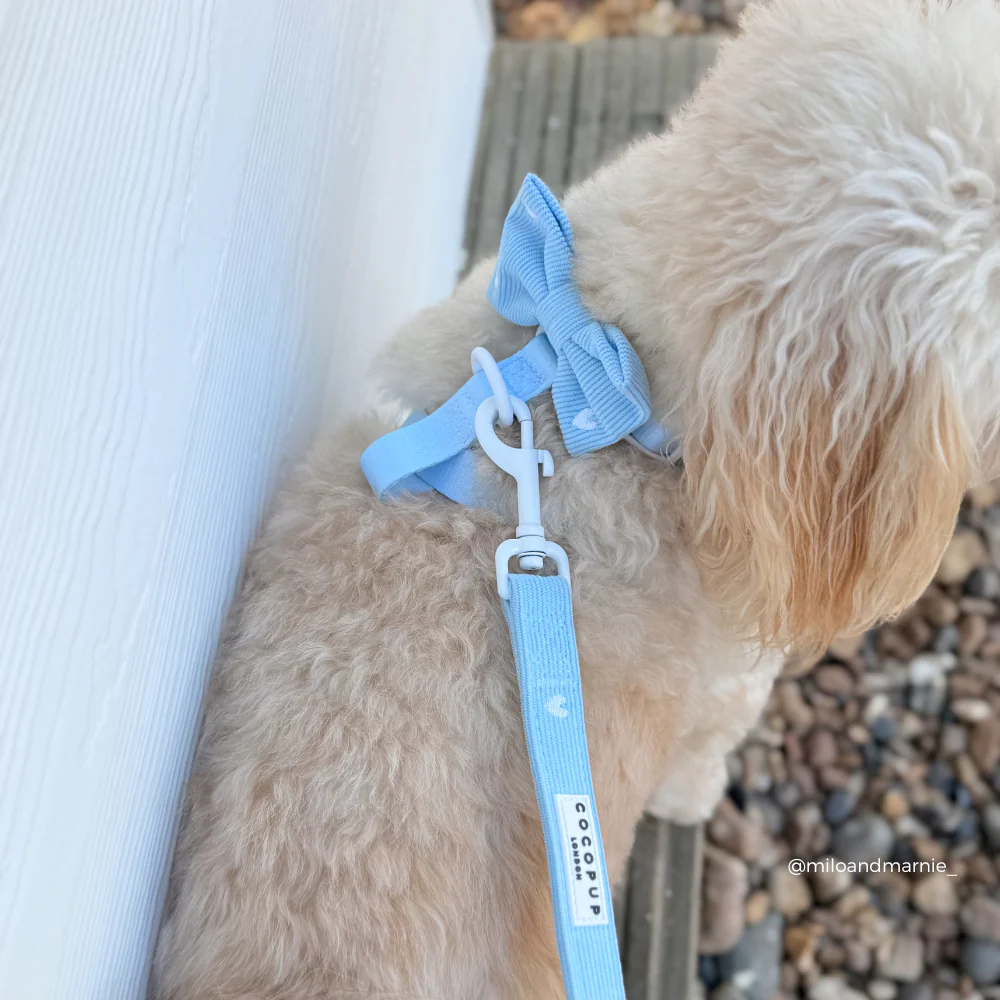 Blue Heartstrings Cord Lead - Image 5