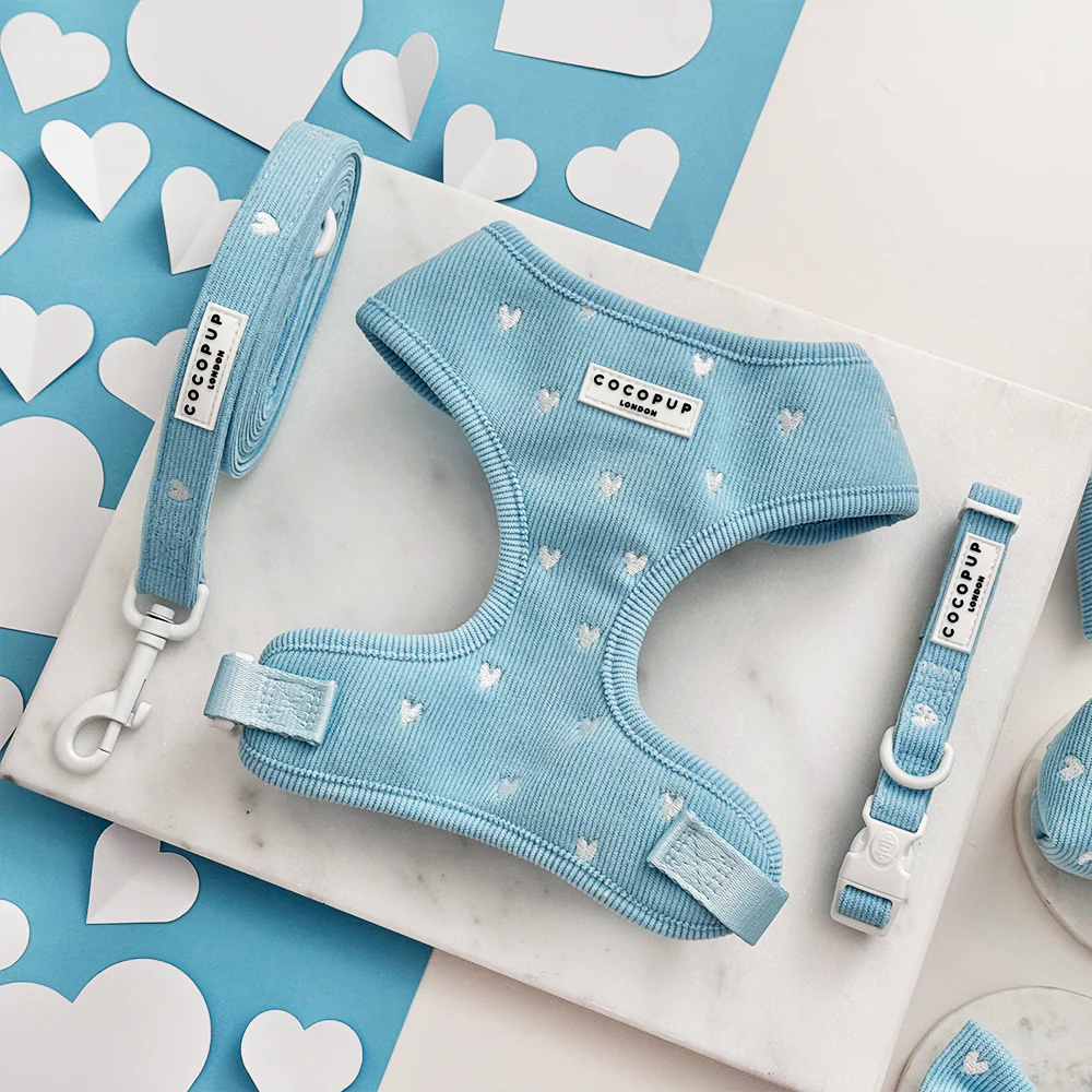 Blue Heartstrings Cord Adjustable Neck Harness, Lead & Collar Bundle - Image 2