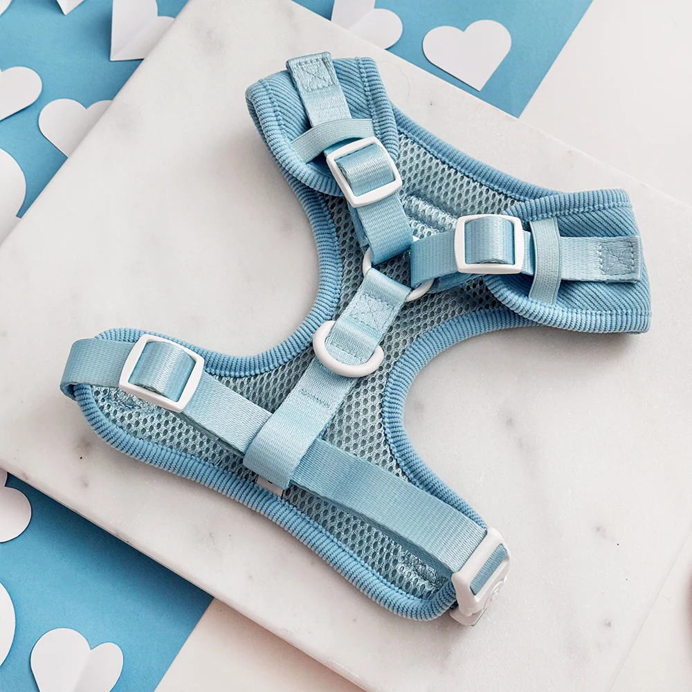 Blue Heartstrings Cord Adjustable Neck Harness, Lead & Collar Bundle - Image 4