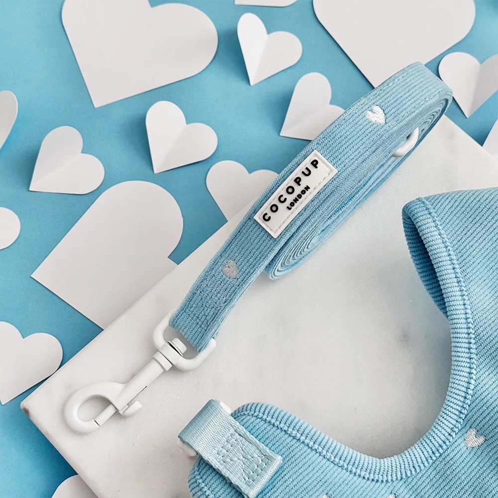 Blue Heartstrings Cord Adjustable Neck Harness, Lead & Collar Bundle - Image 7