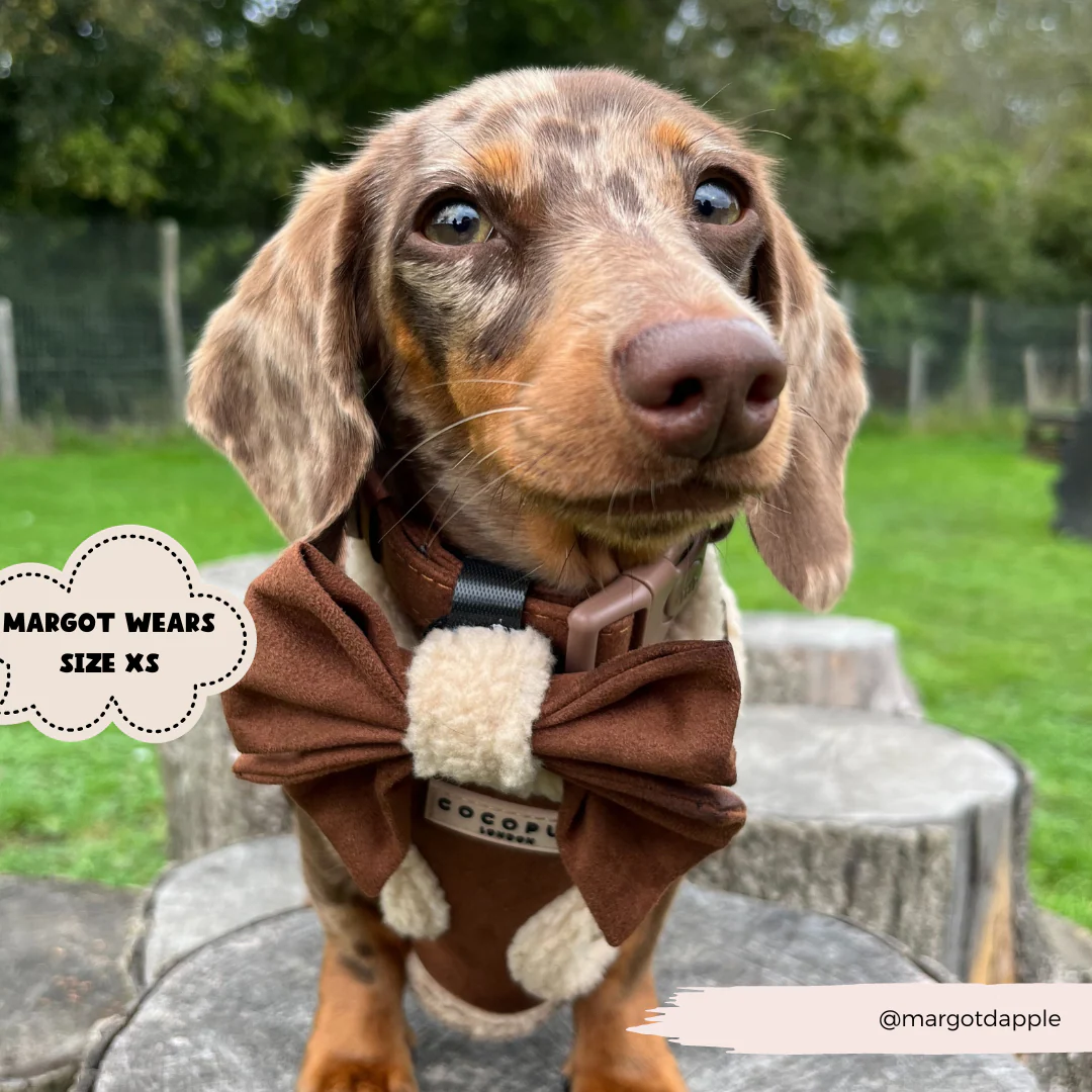 Brown Aviator Adjustable Neck Harness, Lead & Collar Bundle - Image 13
