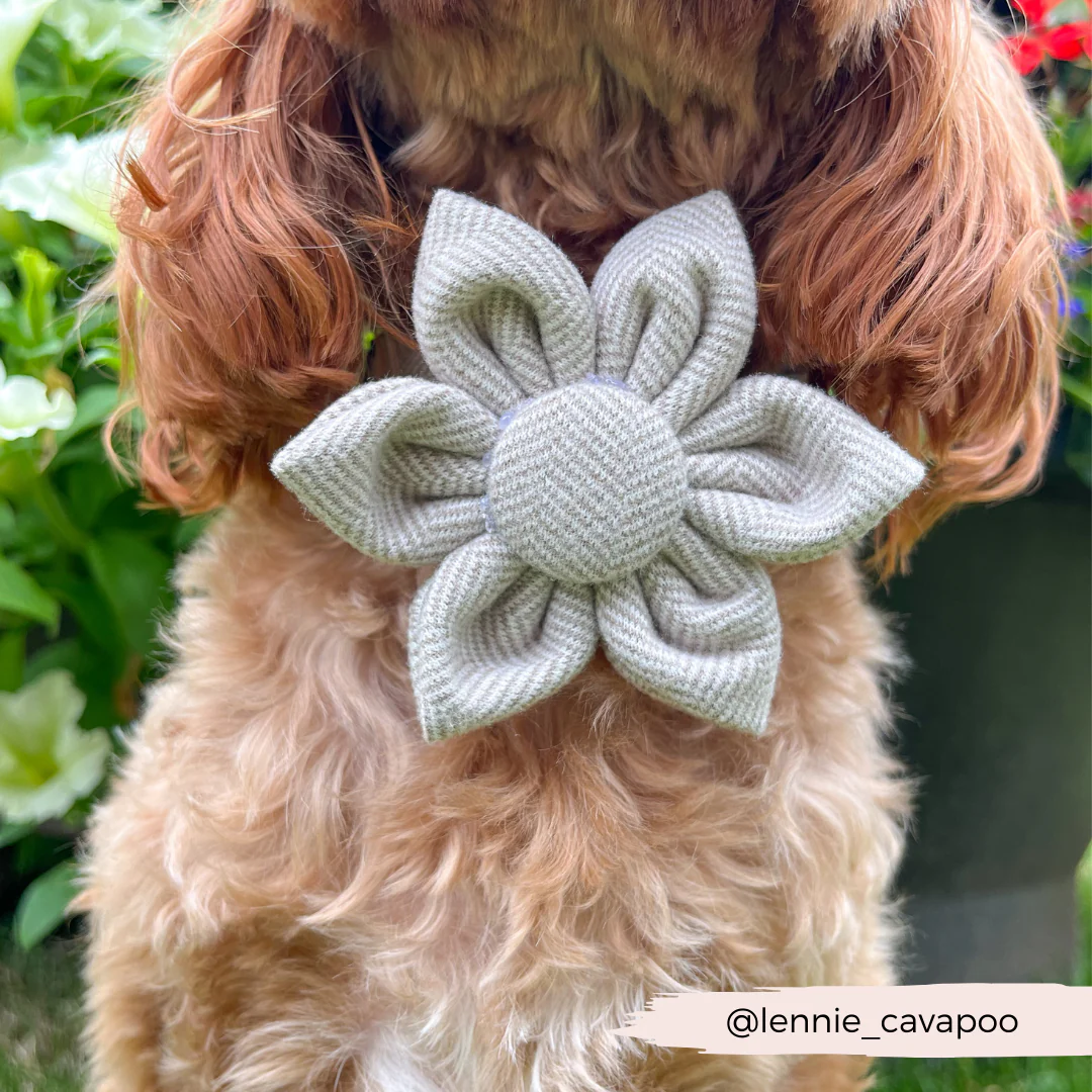 Brown Tweed Collar Flower - Image 3