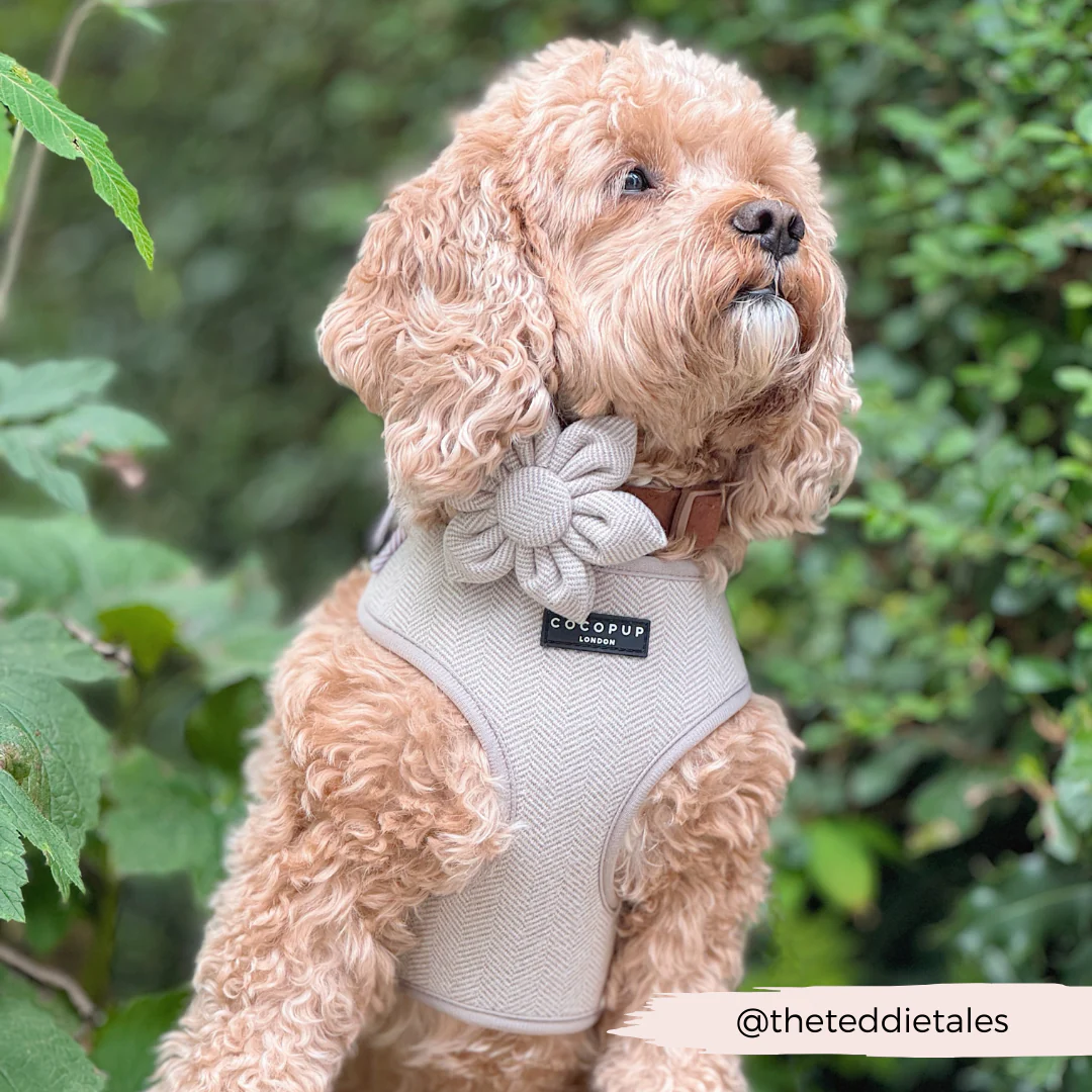 Brown Tweed Collar Flower - Image 4