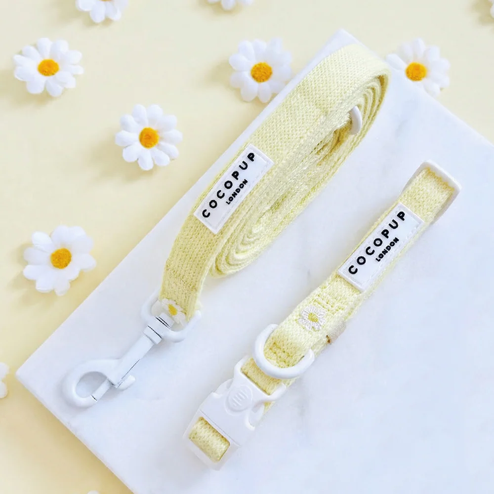 Buttercup Pup Collar & Lead Bundle