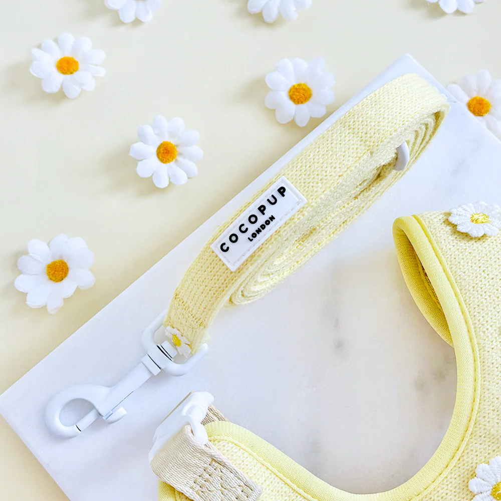 Buttercup Pup Lead