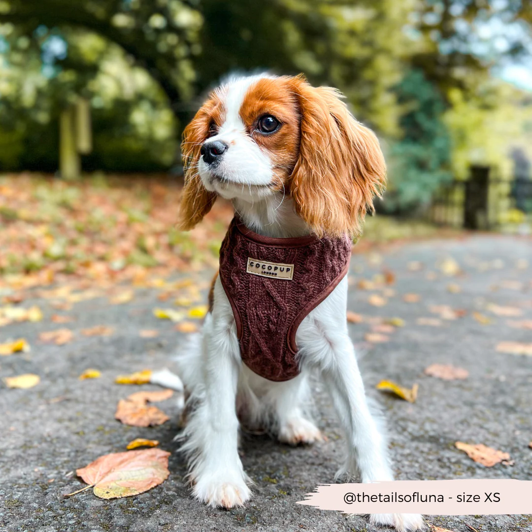 Cable Knit Adjustable Neck HARNESS - Hot Coco - Image 15